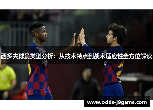 西多夫球员类型分析：从技术特点到战术适应性全方位解读