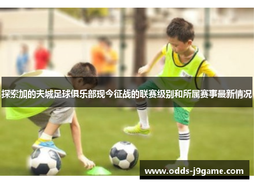 探索加的夫城足球俱乐部现今征战的联赛级别和所属赛事最新情况