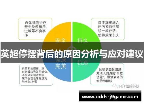 英超停摆背后的原因分析与应对建议