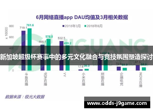 新加坡超级杯赛事中的多元文化融合与竞技氛围塑造探讨